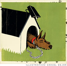watchdog.03.jpg